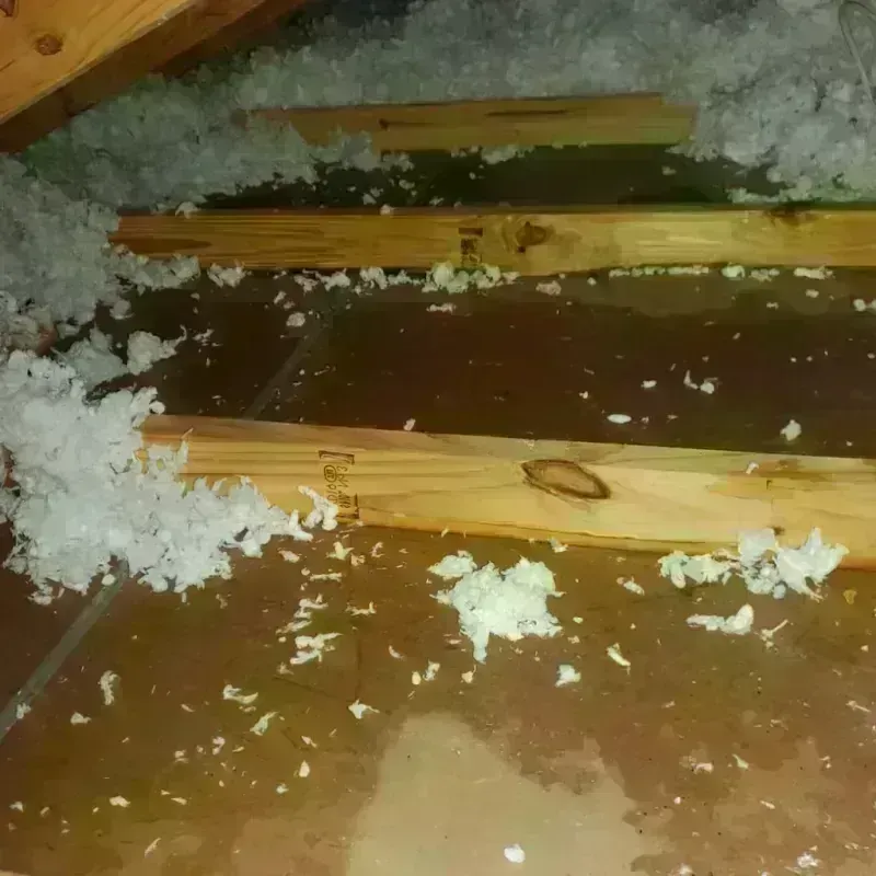 Attic Water Damage in Princes Lakes, IN